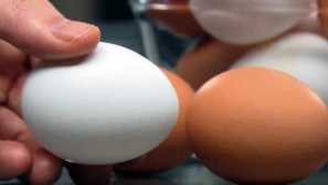 Състав и енергийна стойност на пилешко яйце